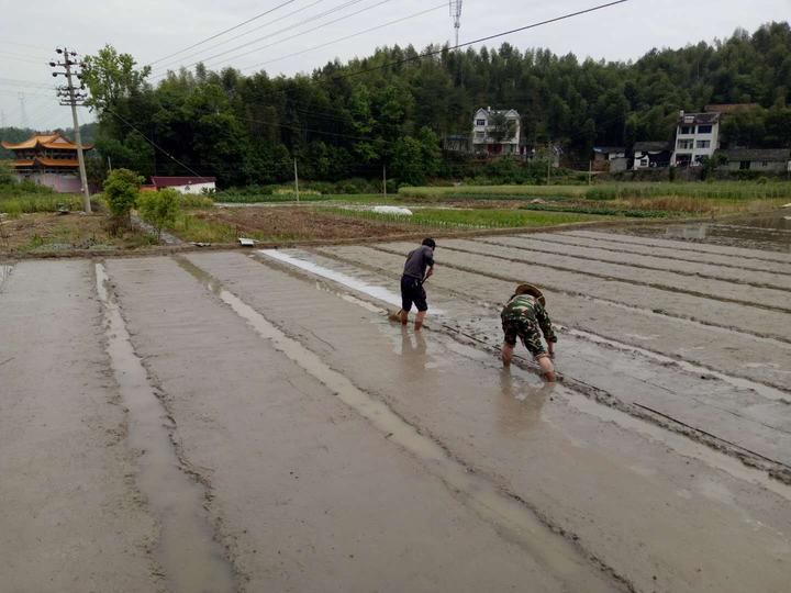 让农民不再只能围着土地转 看龙泉剑池街道如何助农增收？