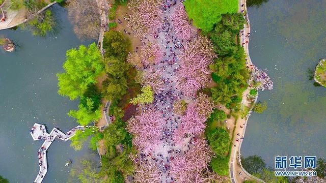 中国科大将发力文科?