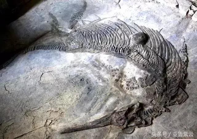 诗和远方在哪里|安顺好山好水告诉你