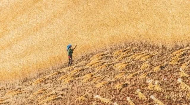 2016年中秋节放假安排