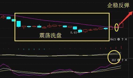 上海一女博士说破股市：七不买三不卖，背熟6句，可实现百亿梦想