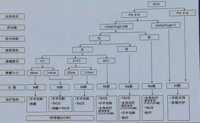 全面解读2017版原发性肝癌诊疗规范