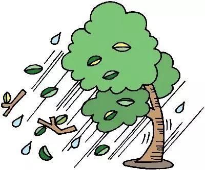 中山连续强降雨竟是因为它!更可恶,它赖上了广东!