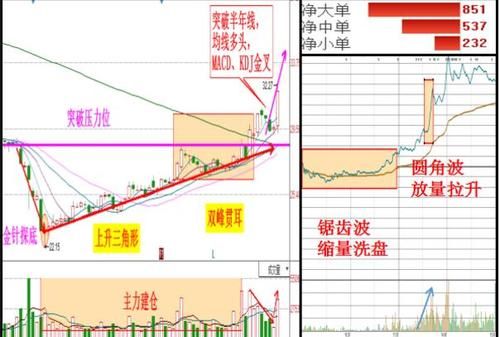 漂亮女博士自白:一旦学会换手率选股法,股市