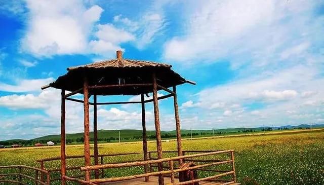 张家口最美的季节才刚刚开始，假期带家人来一场美好的自驾游吧！