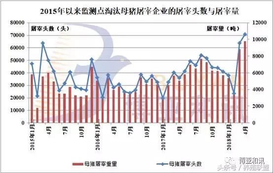 透过这些数据，看清6月份猪价走势