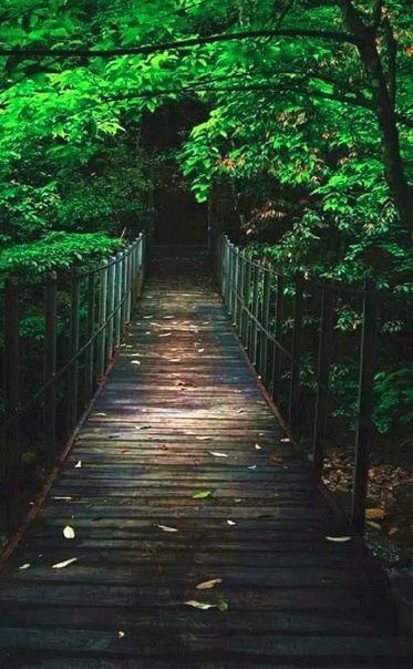 浙江隐藏的7条如诗如画的绝美“天路”你去过几条？