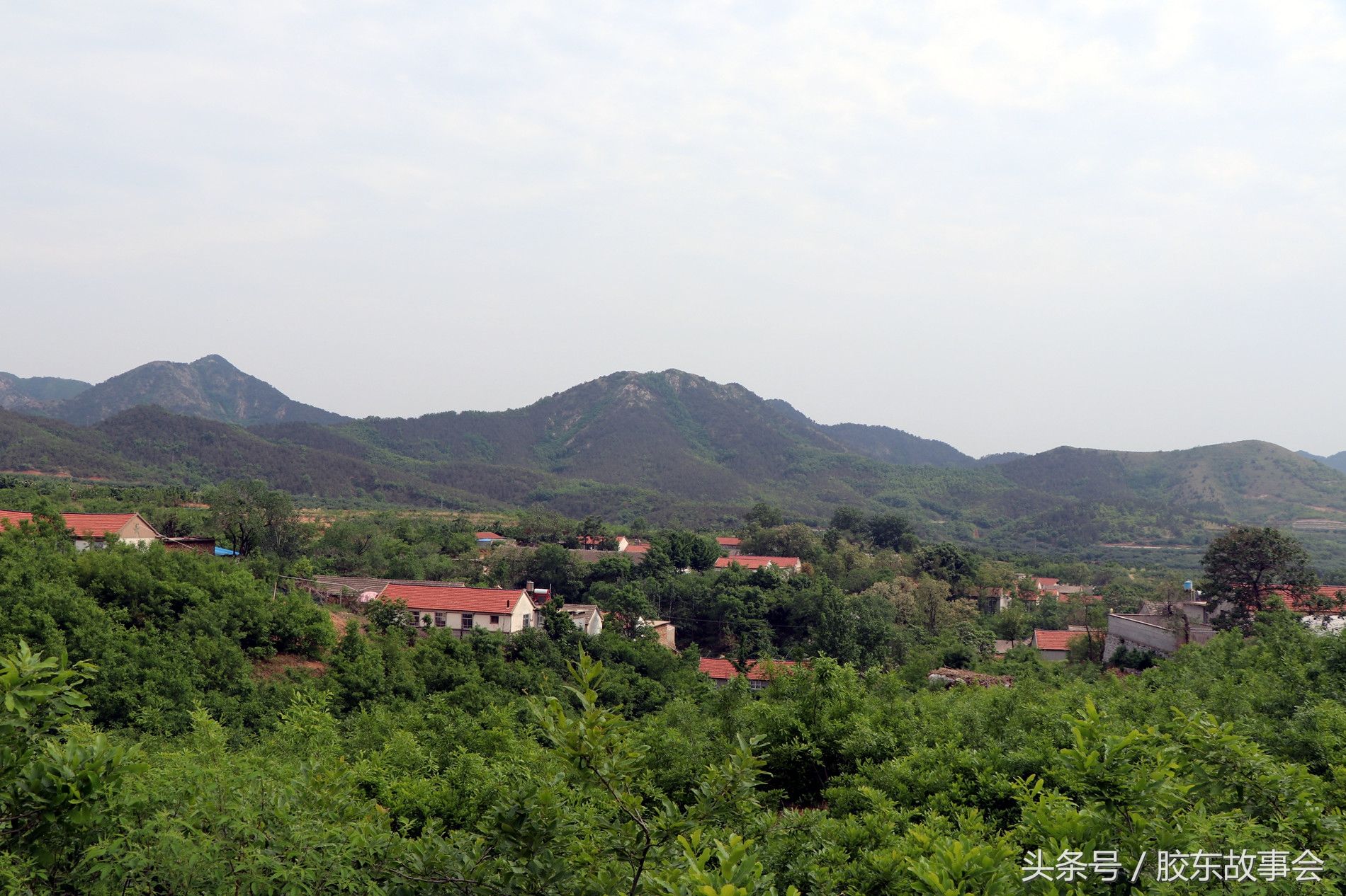 烟台栖霞这个村地处深山，鲜有外人到访，很像世外桃源