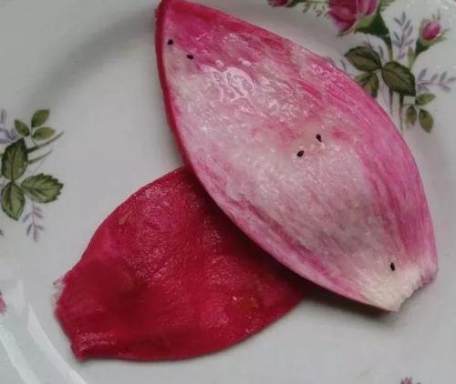 恭城朋友们,火龙果皮不要再扔了!没想到它居然