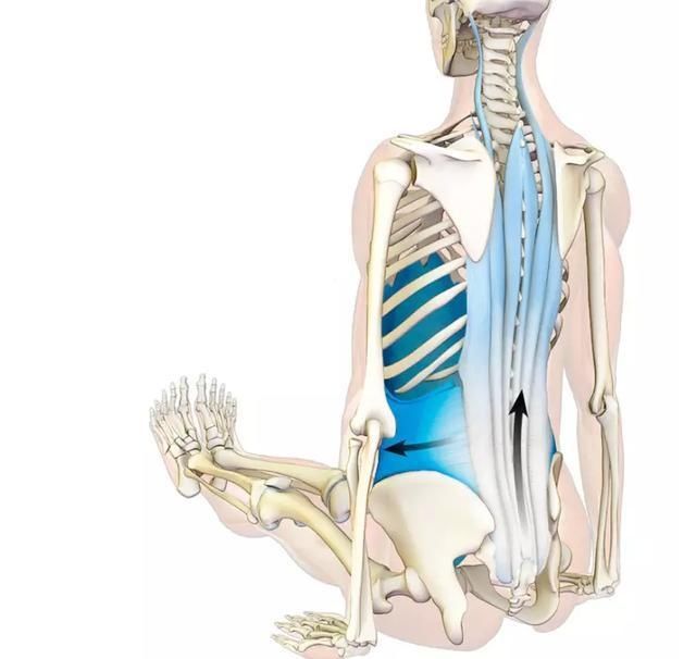 瑜伽教培连载34:手杖式 看着简单做起来难