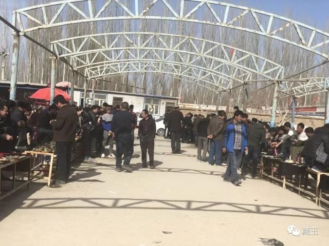 如今的籽料价格比年前涨了多少呢？我们一起来看看