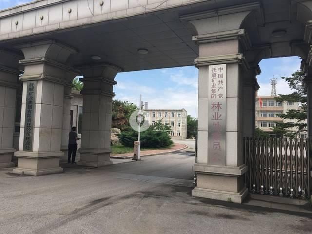 世外桃源?抚顺市莫地北路附近惊现“山中之城”