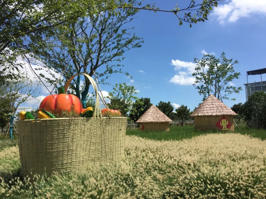 五一小长假去哪里玩?16个区79处上海好白相