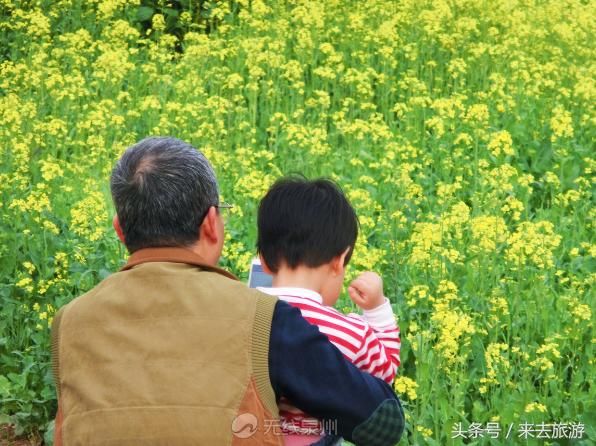 好多泉州人都挤着去的这片油菜花田，你还没去看？