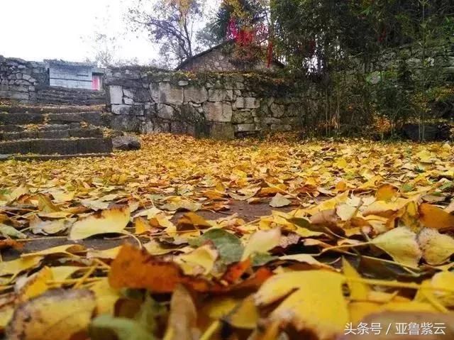 诗和远方在哪里|安顺好山好水告诉你