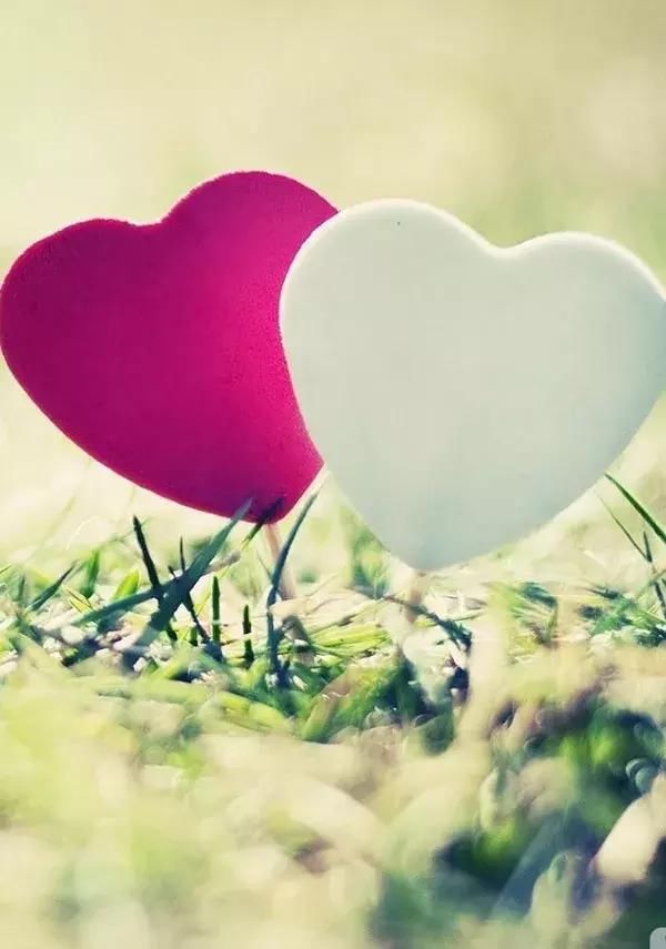 早安正能量励志心语