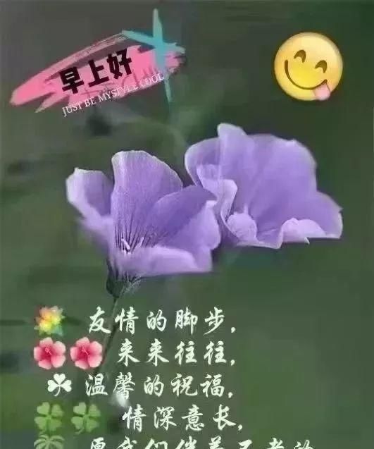 早上好各种图片