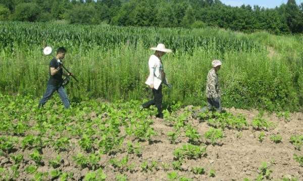 农村土地确权最后一年，有两件事农民必须要知道！