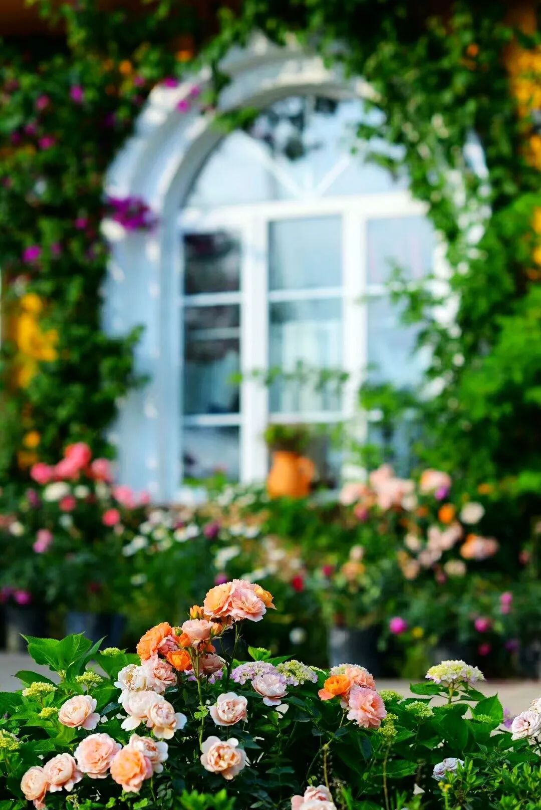 一对夫妻把青白江农家改造成“田园牧歌”，从此家有美景何必远方