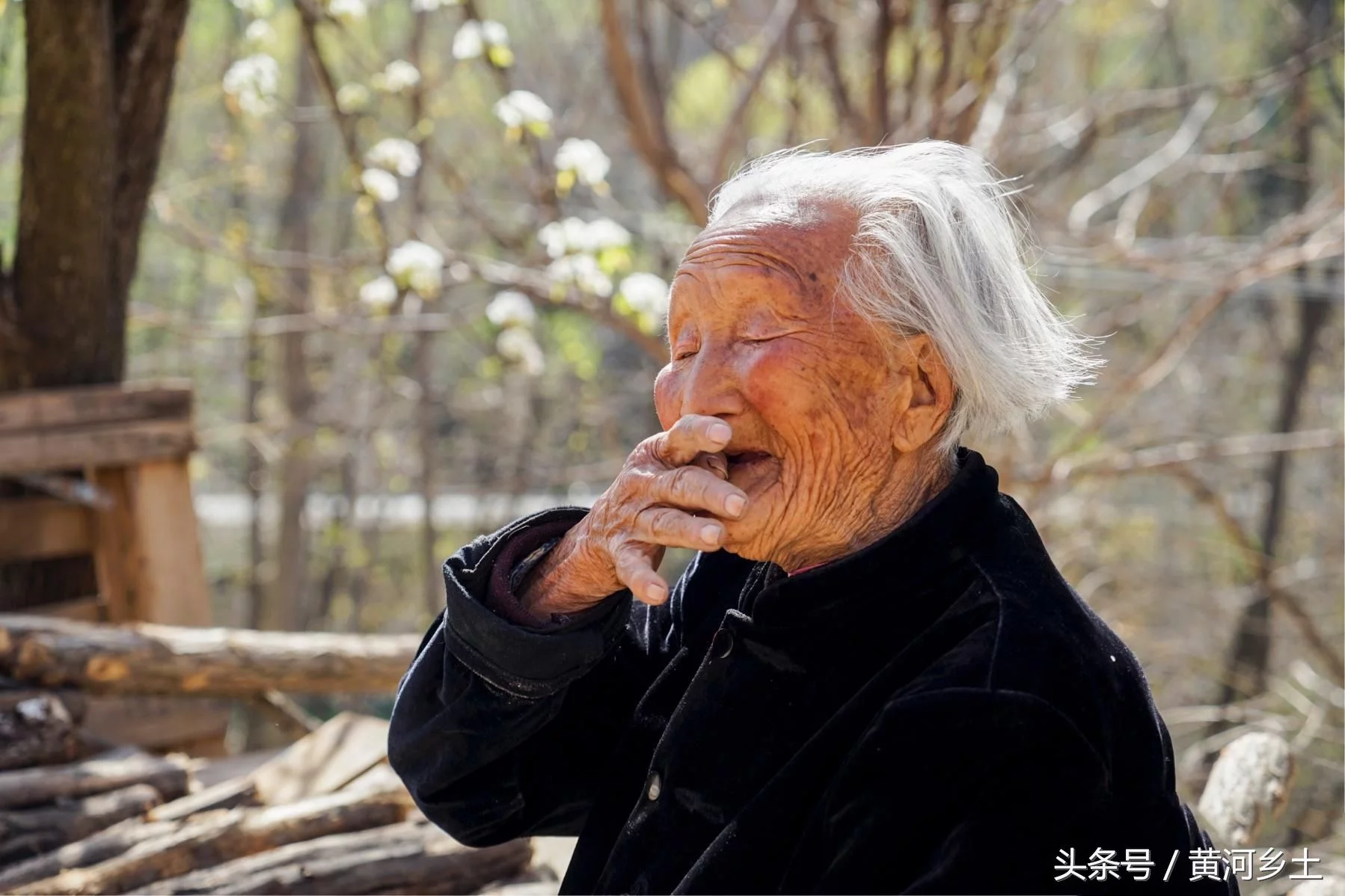 山西农村6位百岁老人的长寿秘诀,他们都离不开一种东西 - 芮清之家 - 芮清仁斋 山西农村6位百岁老人的长寿秘诀,他们都离不开一种东西 - 芮清之家 - 芮清仁斋