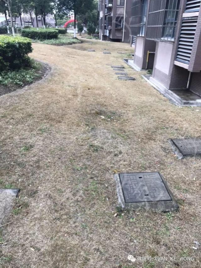 悲！沪一 5 岁男孩家中坠亡 居民遛狗时发现