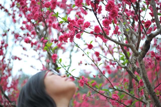 今年桃花运暴涨的三大生肖,他们今年将会和最爱的人结婚