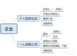 法人独资企业