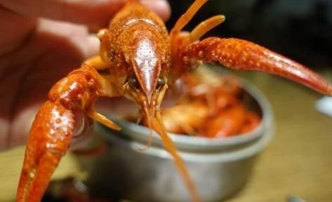 边看世界杯边吃小龙虾,3个人吃掉6笼小龙虾,才