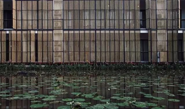 从废弃小学到绝美民宿！千亩稻田环绕、山泉水无边泳池，这间酒店