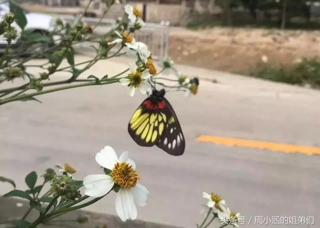 潮汕普宁下架山碗仔,隐匿在寂静山谷的美丽村