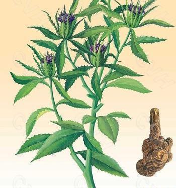 t01cbd2349904bff466.jpg