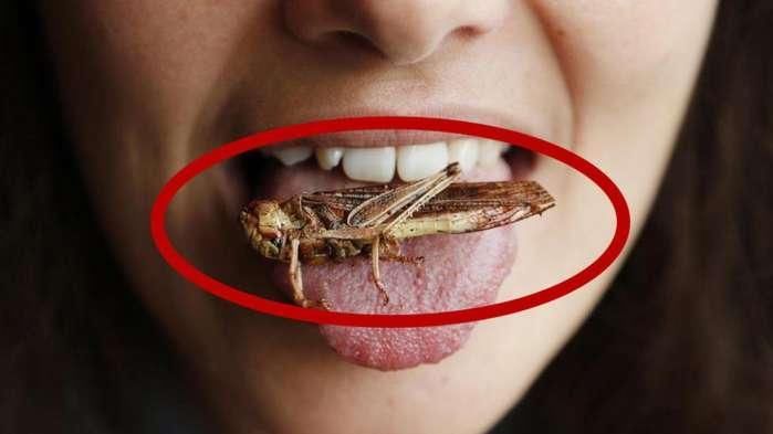 中国山东一夜之间大面积消失一种生物 真相曝光后俄罗斯却尴尬了