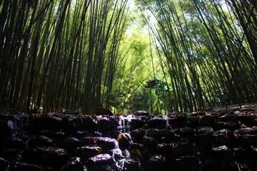 如此“凉”心的六盘水酷夏,不来就说不过去了啊!