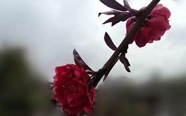 中国商标注册管理局