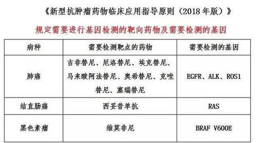 纳入医保的疾病报销吗