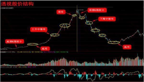 顶尖操盘手解析黑马生命法则，七点让你读懂中国股市！