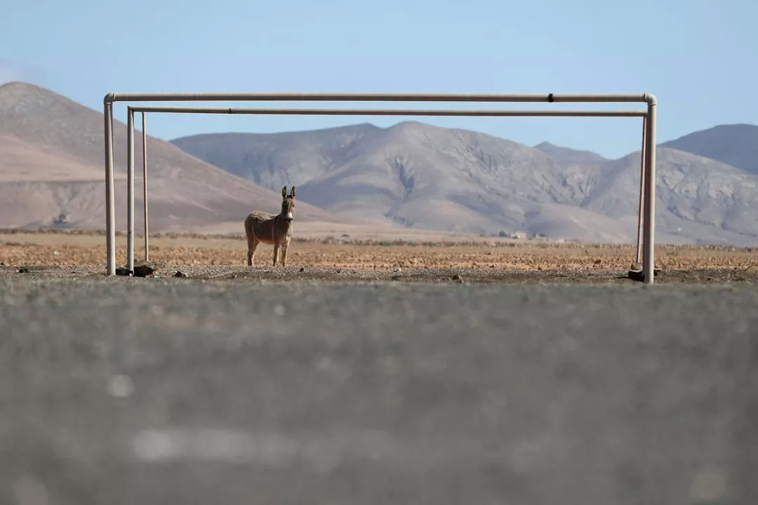 世界杯之外的奇葩足球场,有的在冰川,有的在悬