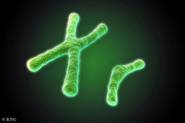 强迫症的表现有哪些?别混淆了,强迫症是心理疾