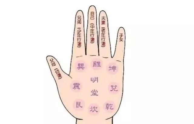 男人手上这个部位凸起多肉，往往非富则贵，准!