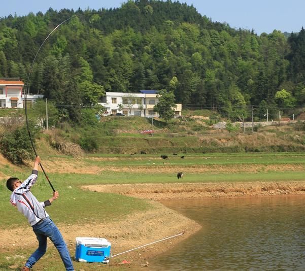 鱼窝有鱼但就是不咬钩?30年老钓友教你1绝招