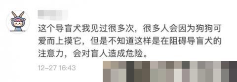 男子地铁不听劝阻多次骚扰导盲犬