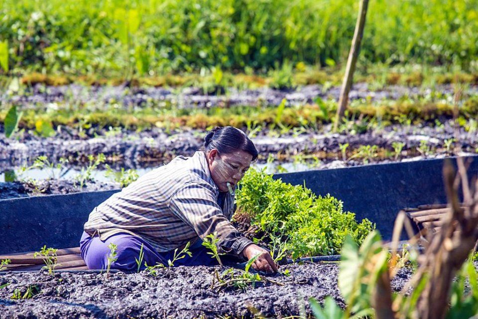 令人诧异神秘岛 可以像小船一样划行