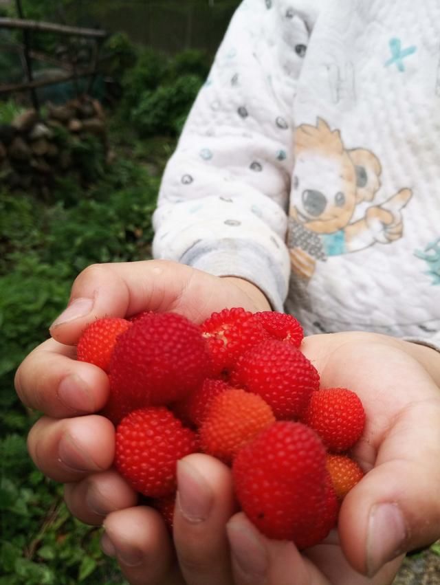 航拍融水苗寨梯田,今朝培秀酒香茶浓人更美!