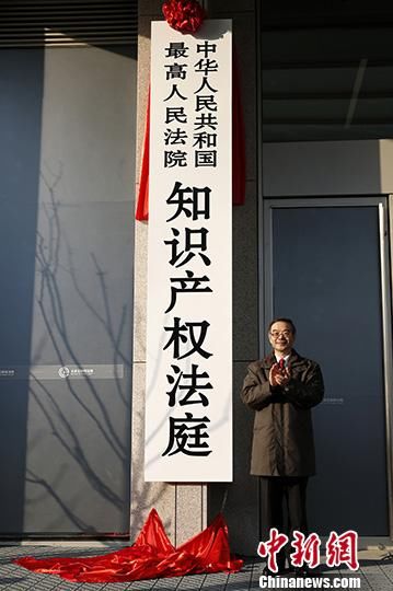 国与知识产权保护