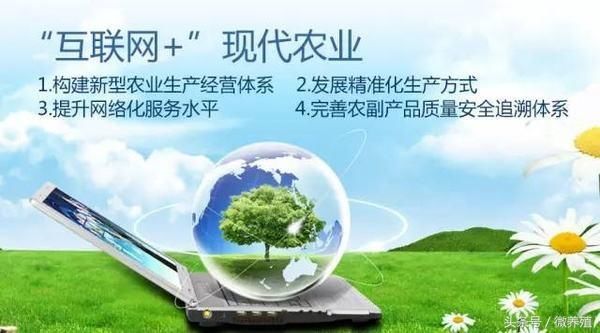 未来从事这四类农业项目的农民将会越赚越多，甚至年入过百万！
