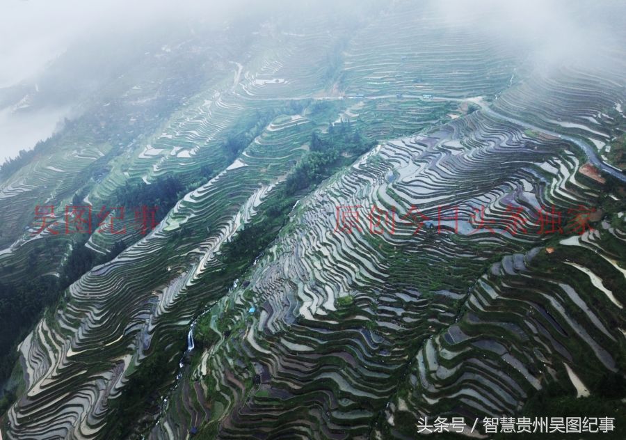 多彩贵州,从江苗族陡坡造田上万亩,全长二十五公里太壮观了