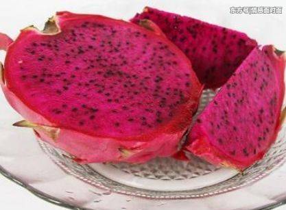 吃完的火龙果皮不要扔掉了,竟有如此喜人的作