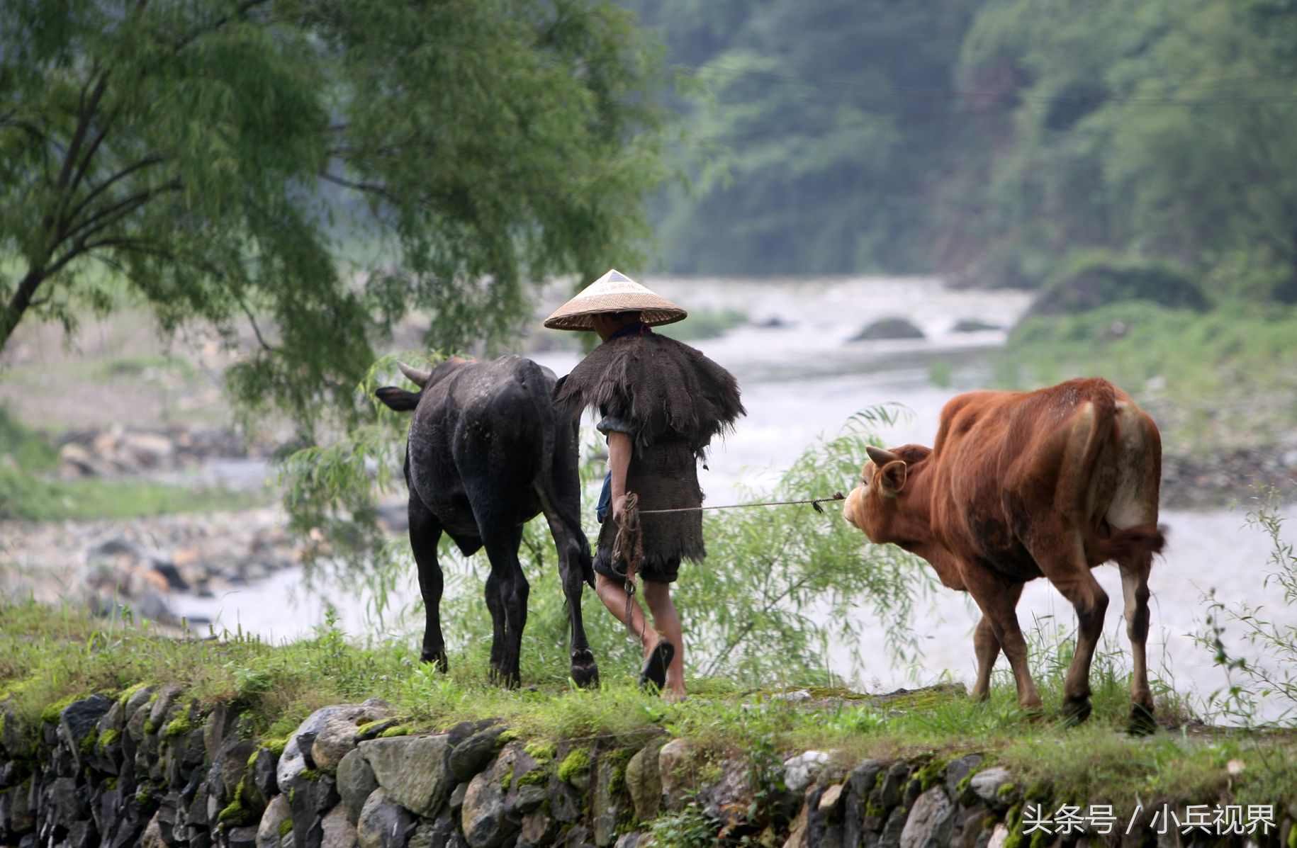 湖南最适合夏日小住的古村庄，流水蛙鸣让人羡