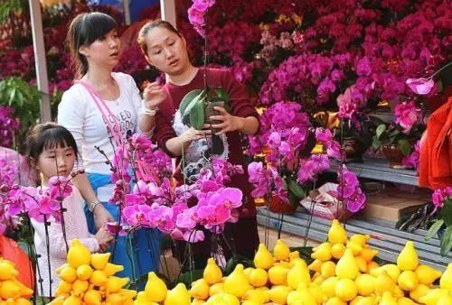 最高26℃!广东史上最热春节杀到!今日到大年初八的天气抢先看...