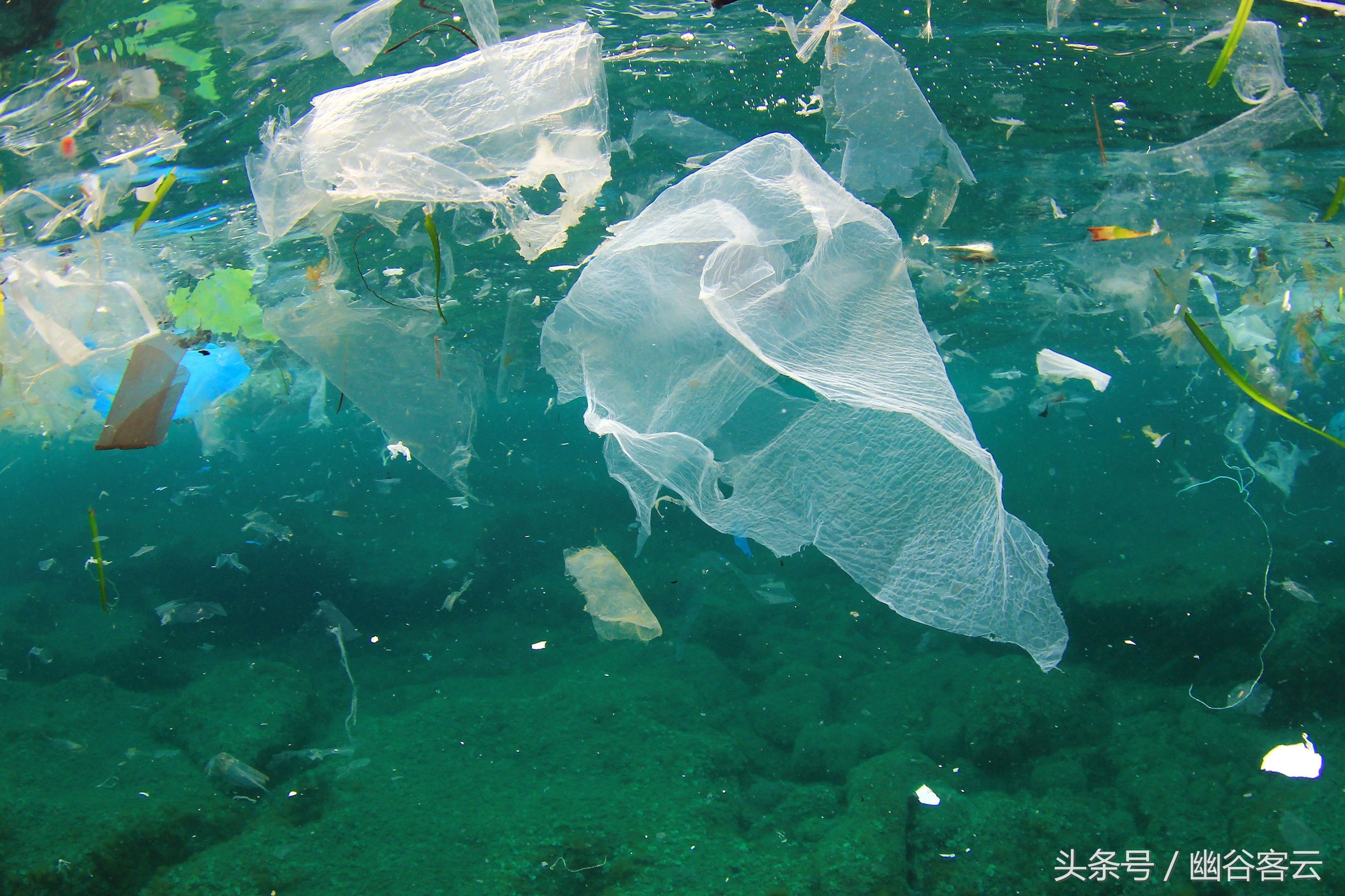 全球第一大的垃圾场:不在陆地上而在海洋里，面积相当于四个日本